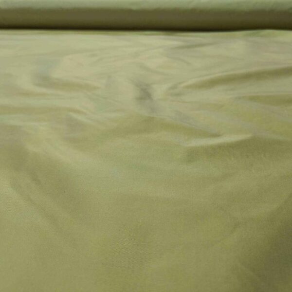 Taffeta TS181 Silk Fabric - Image 3